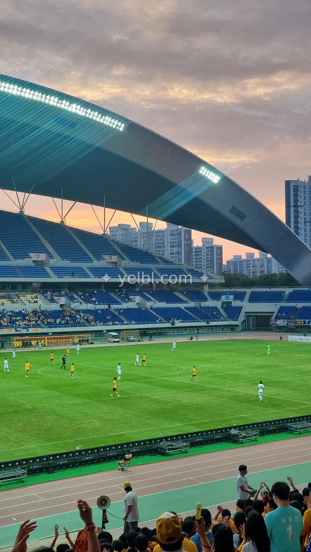 좋은 아침입니다