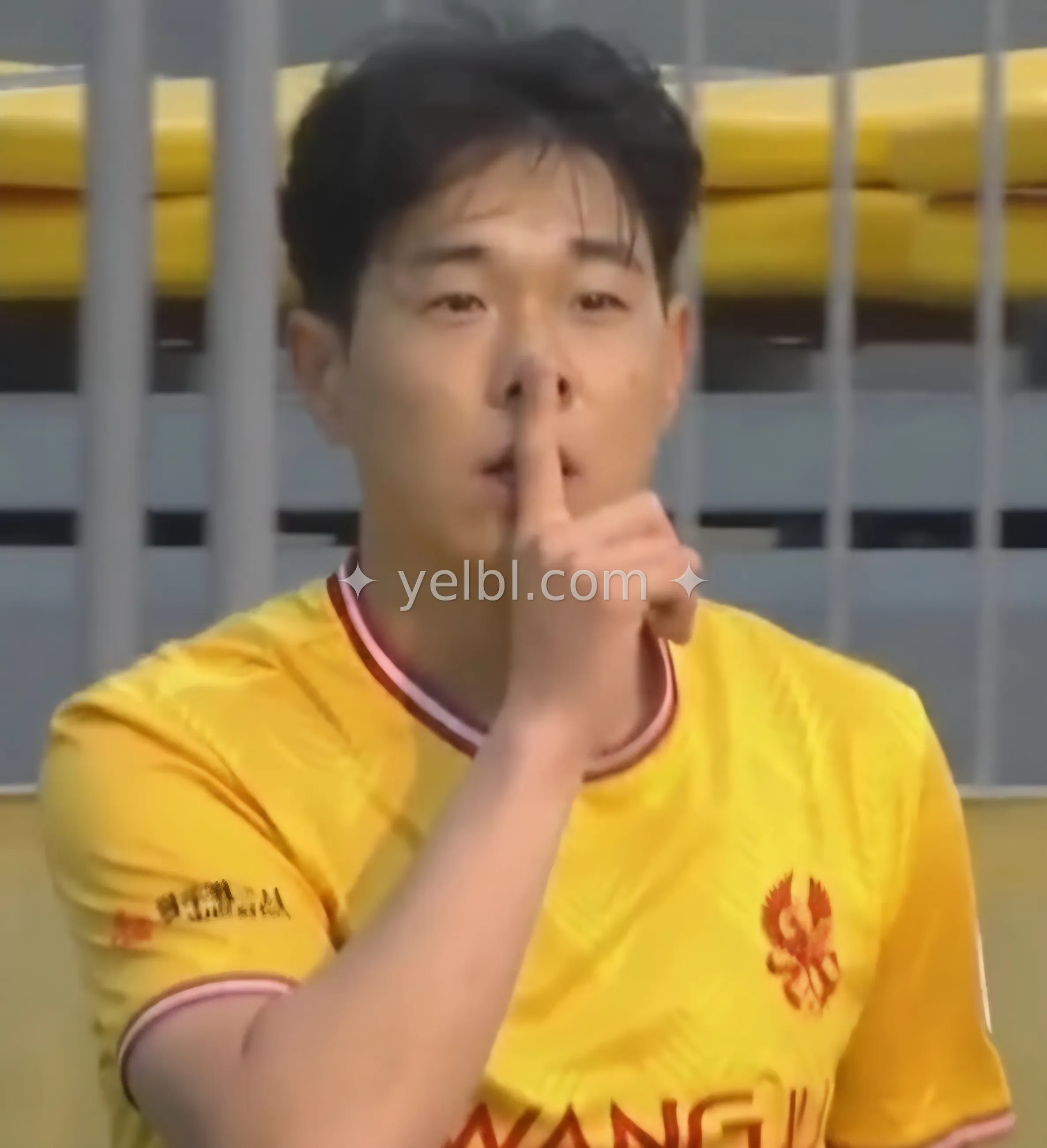 쉿! 잘자요~✨️ 나의 꼬꼬들