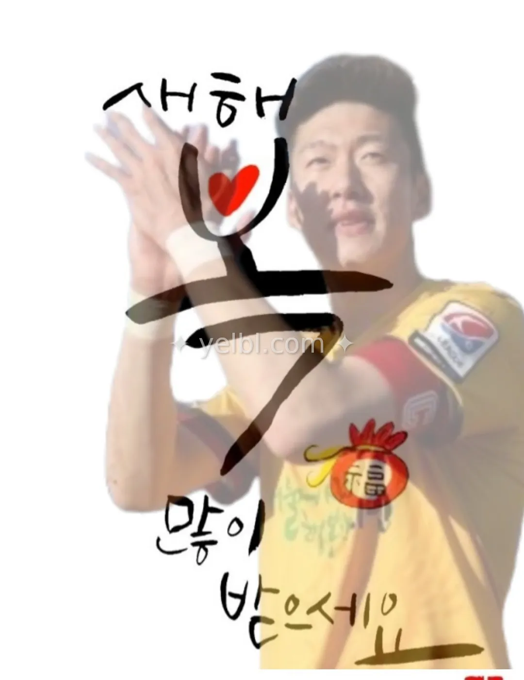 차기감독 안정환